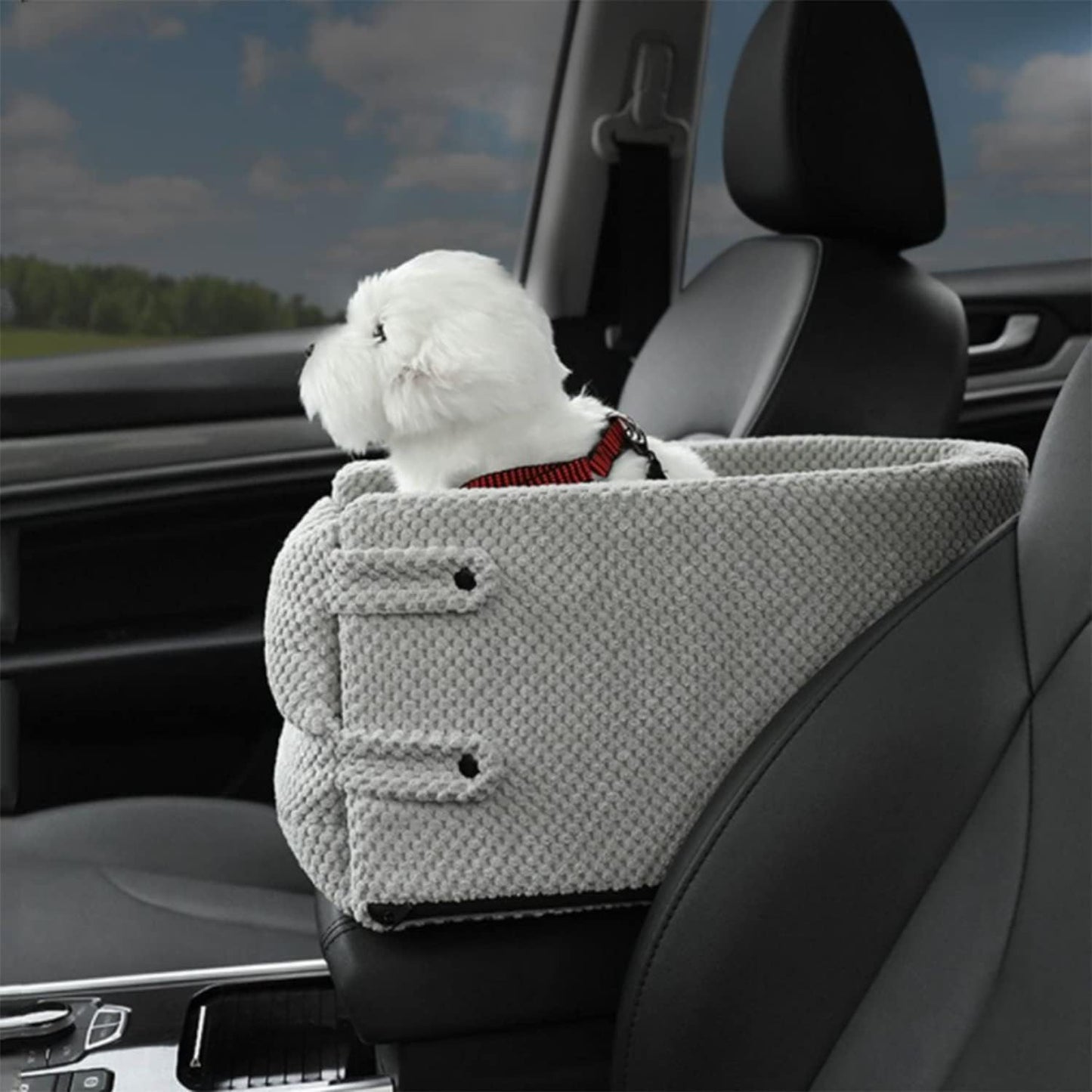 Dog Puyy Cat Car Seat Armrest Box Position