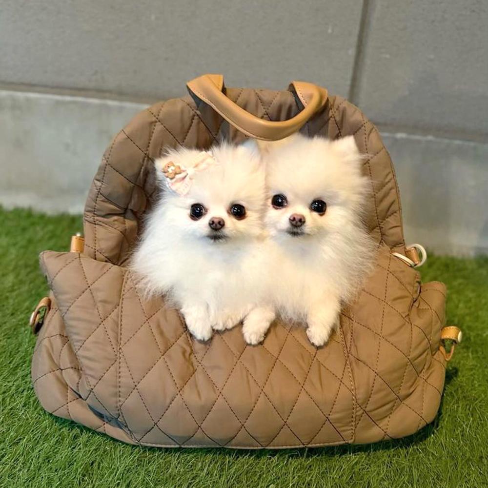Nylon waterproof pet bag detachable handbag car seat dual-use travel