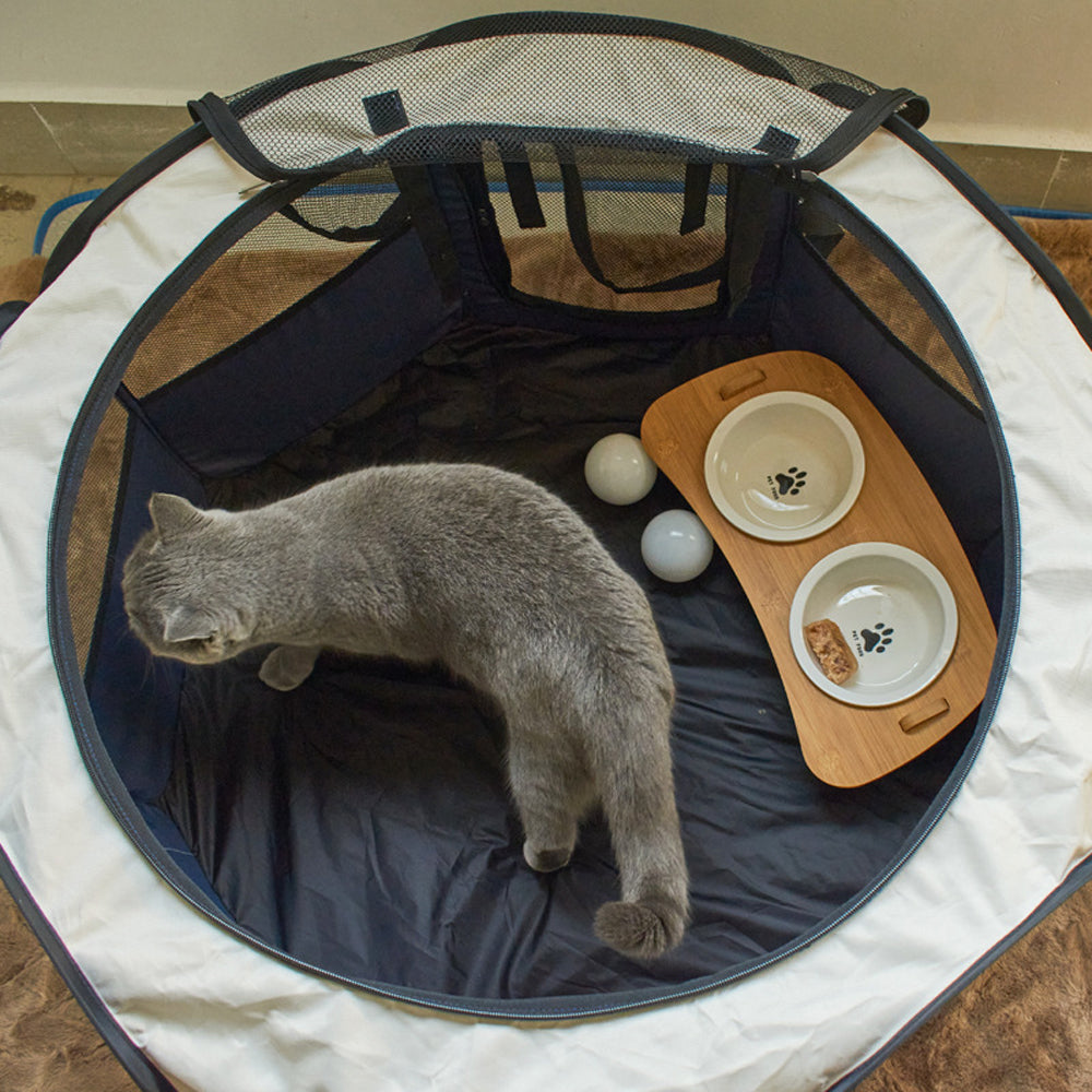 Octagonal Fenced Cat Tent Portable and Foldable for Outdoors Stylish