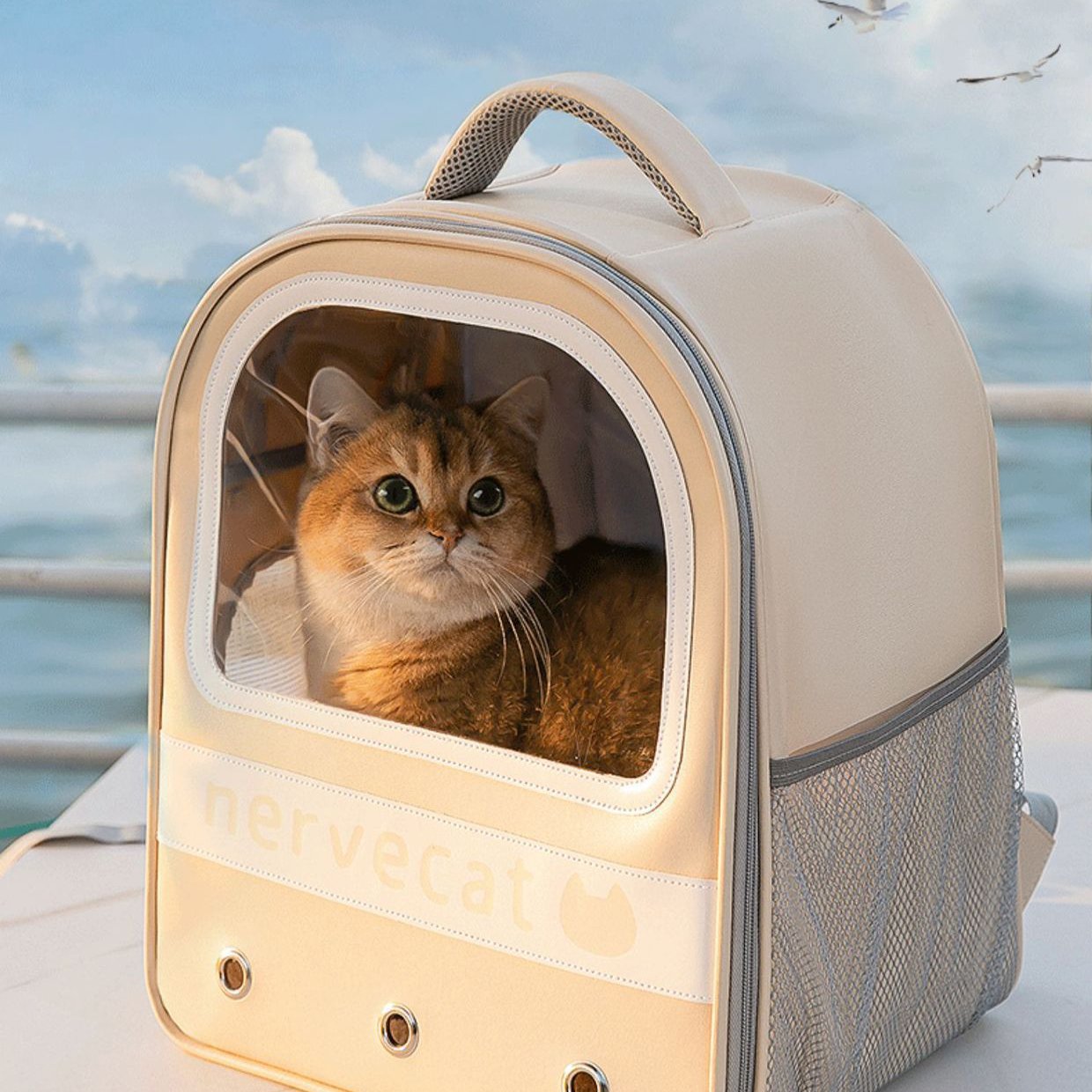 Pet Dog Cat Airline Approved Travel Carrier Backpack Bag